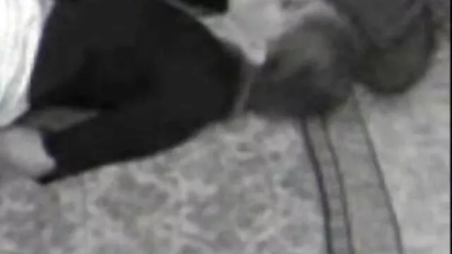 Enchufe anal para adolescente jamie marleigh videos de lesvianas en español gratis